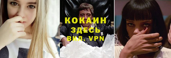 спайс Богданович